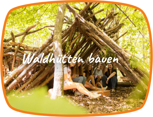 Waldhütten bauen